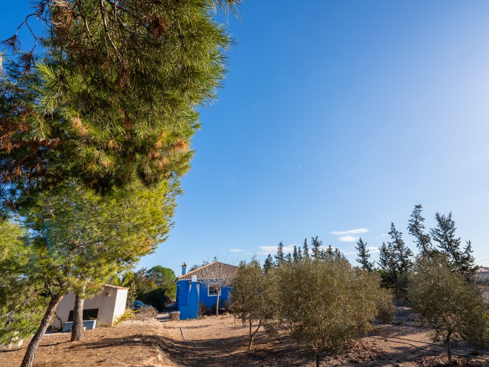 Finca a Gea Y Truyols, Murcia - foto 3